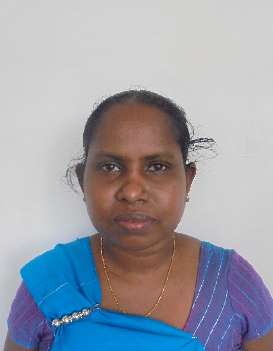 Walpaluwa