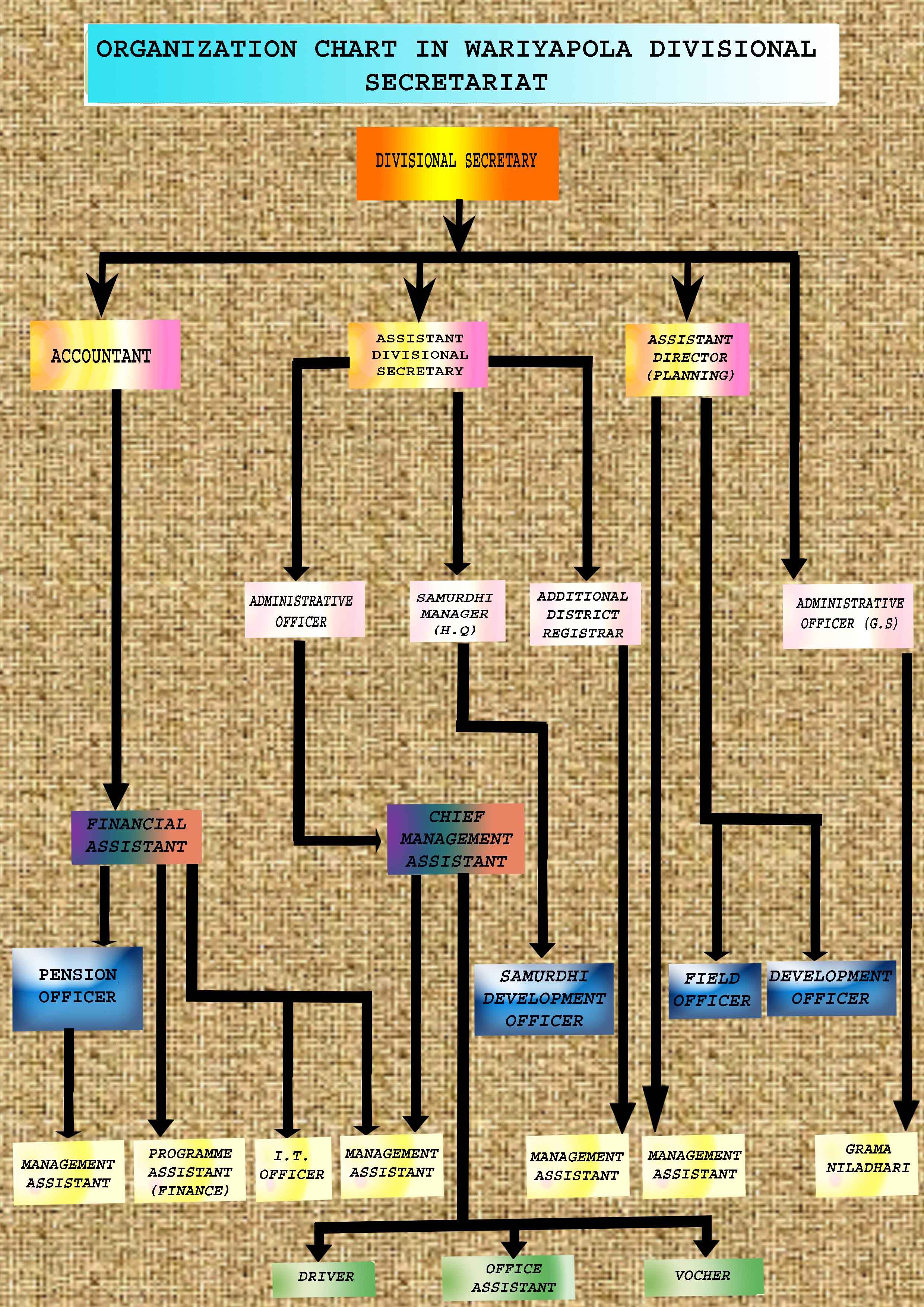 org chart e